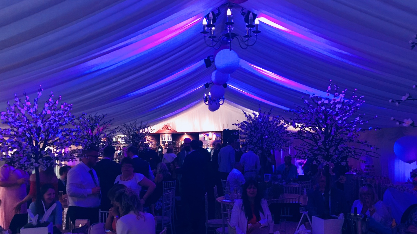 Wedding entertainment setup